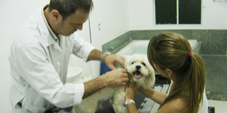 Redevet especialidades veterinaria