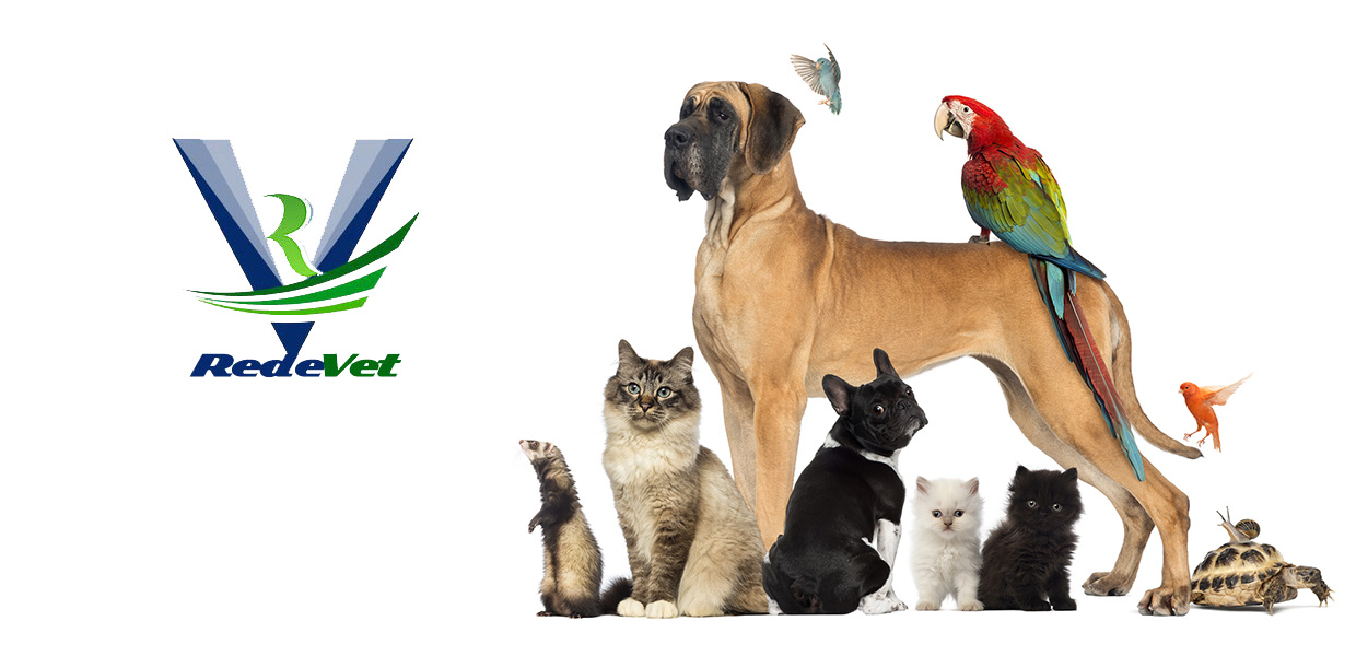 Redevet medicina veterinaria1